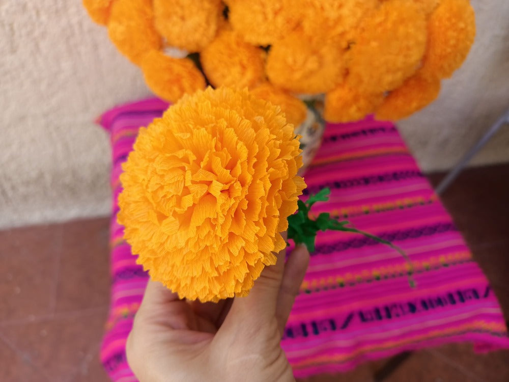 Single paper Cempasuchil Marigolds Day of the Dead flower up close