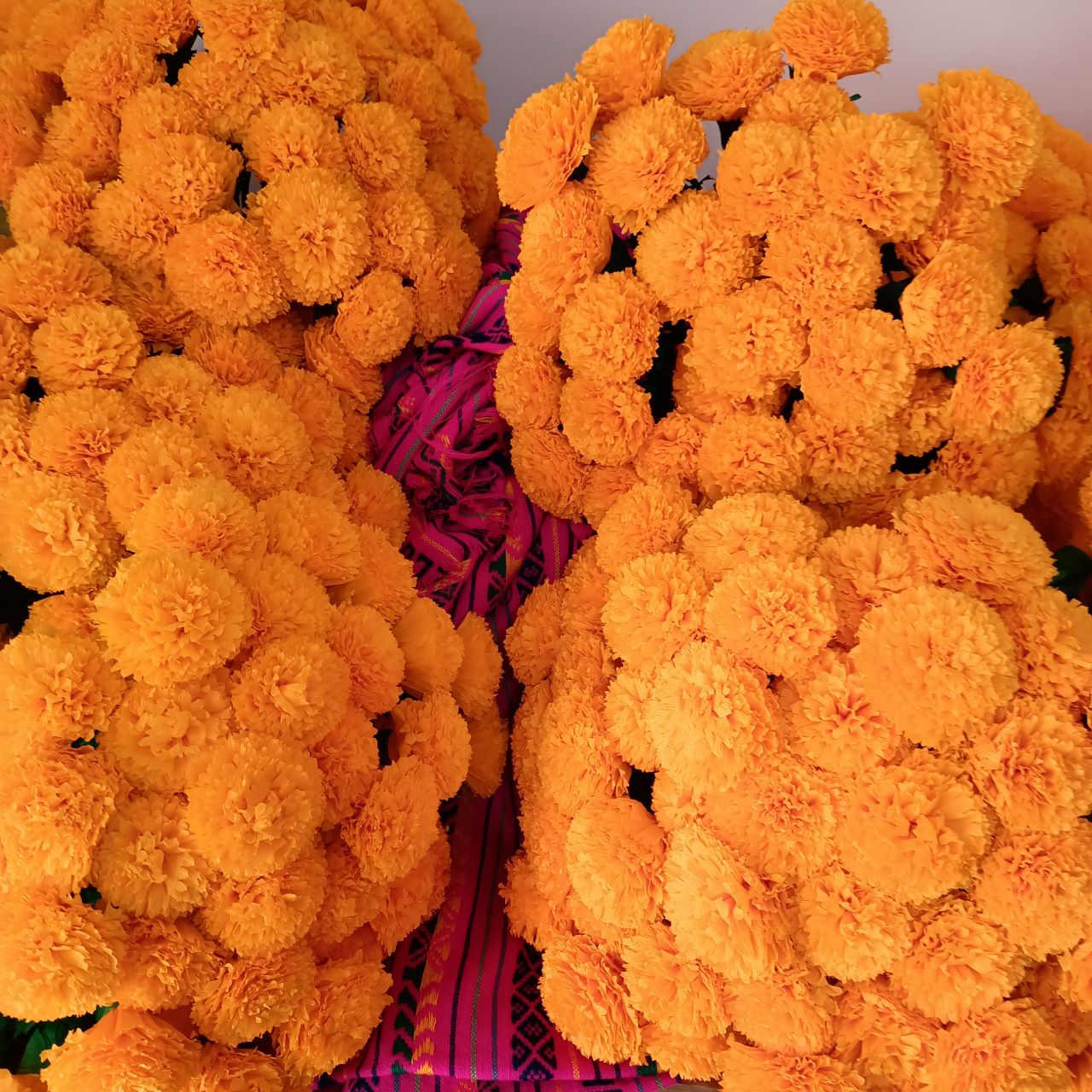 100s of paper Cempasuchil Marigolds Day of the Dead flowers sold wholesale
