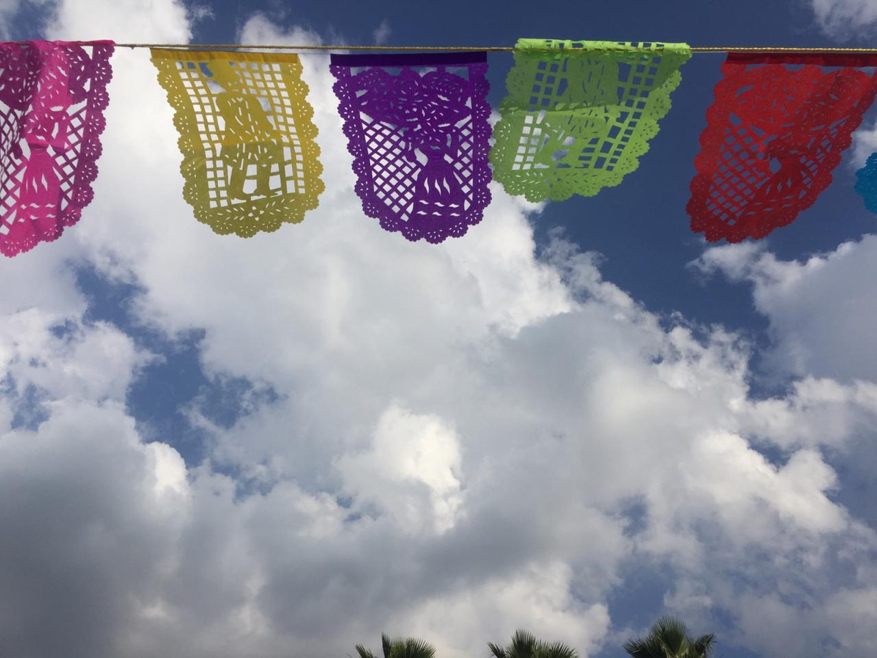 Day Of The Dead Banner Halloween Bunting | 5m / 16ft Papel Picado Banner with 16 Medium Flags